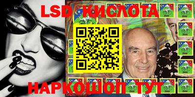 прущие грибы Ирбит