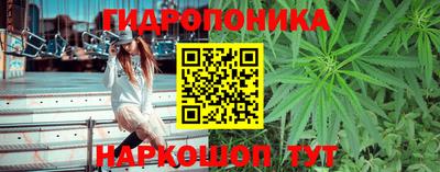 Альфа ПВП Заводоуковск