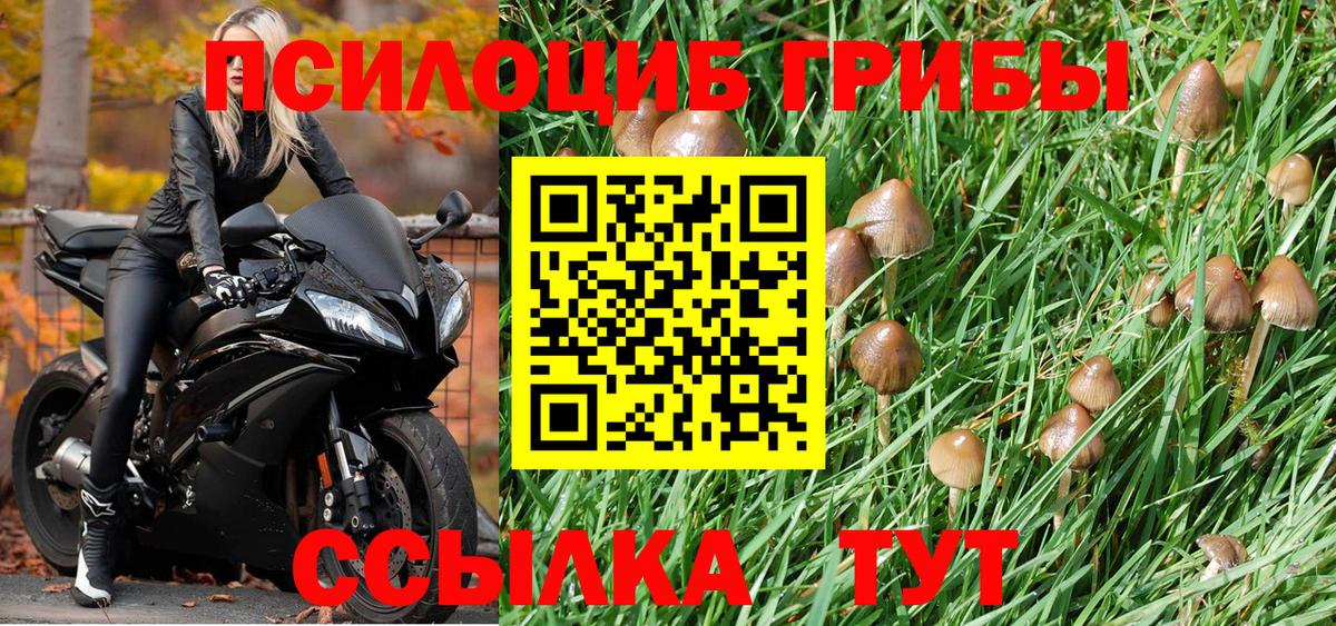 Галлюциногенные грибы Magic Shrooms Кумертау